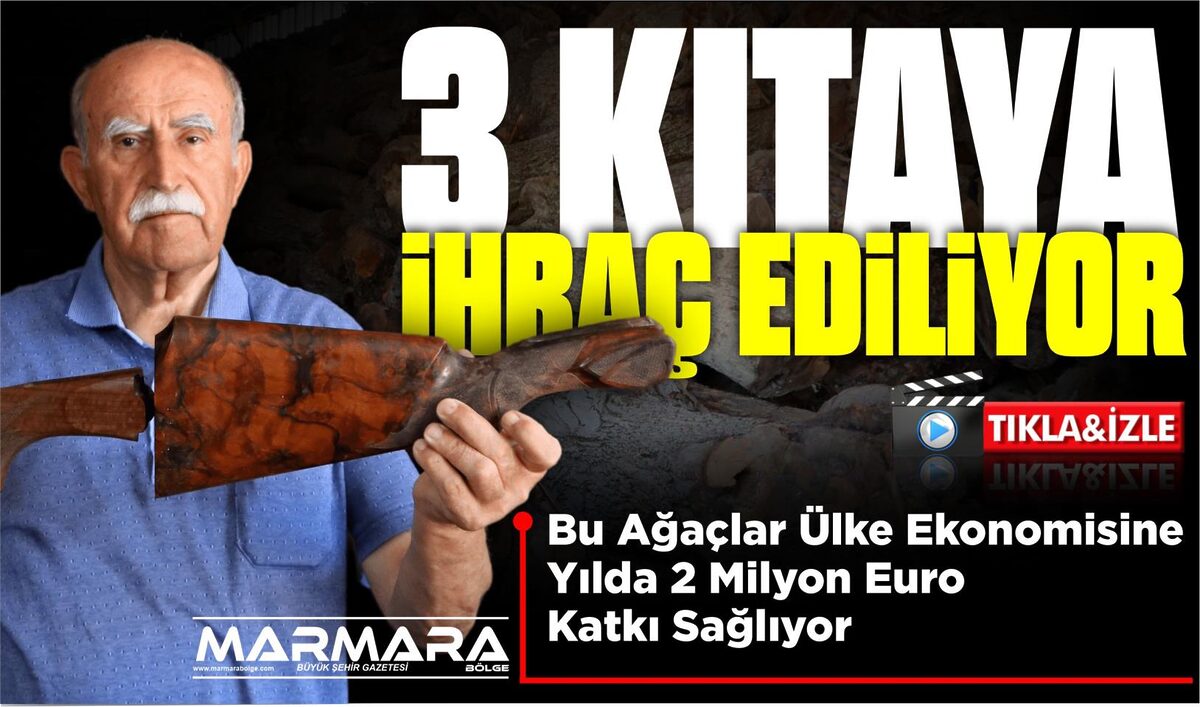 Editör Hakkında Marmara Editör