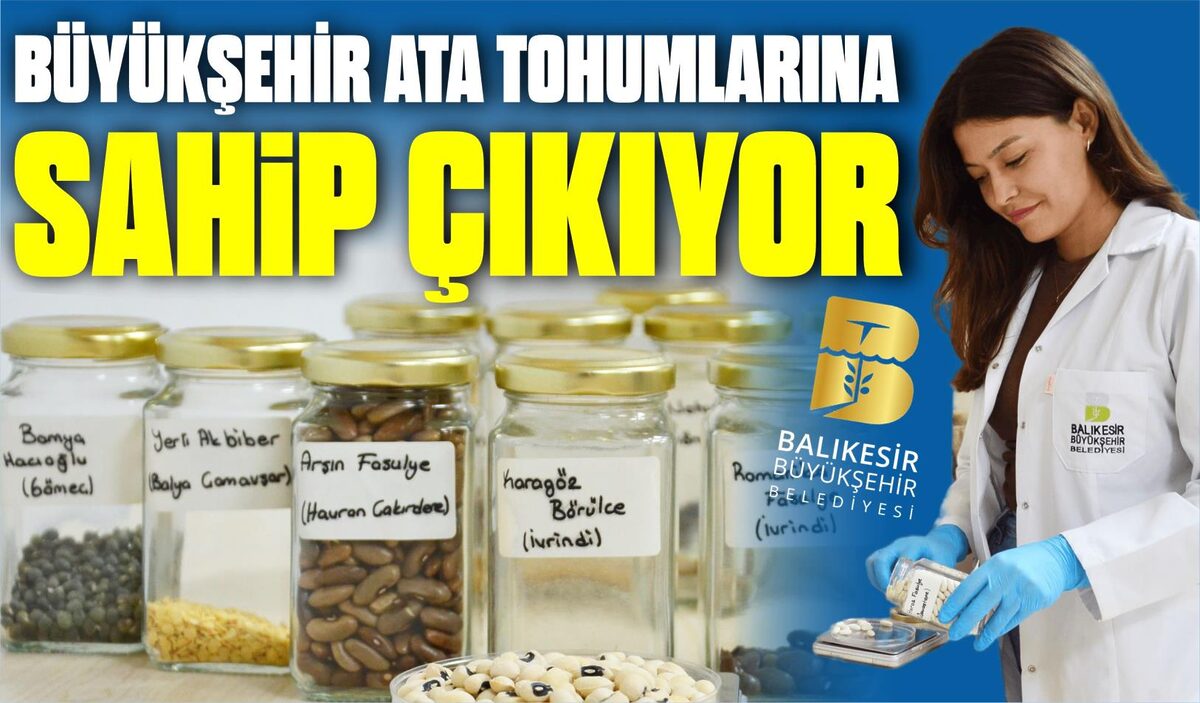 BÜYÜKŞEHİR ATA TOHUMLARINA SAHİP ÇIKIYOR