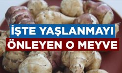 İŞTE YAŞLANMAYI ÖNLEYEN O MEYVE