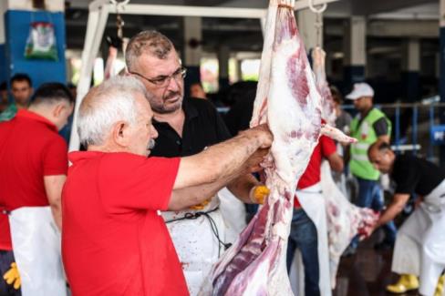 Antalya Büyükşehir Belediyesi, Kurban