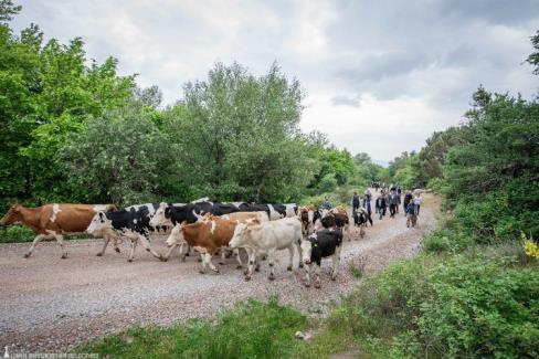 Bergama’da yayla yolculuğu başladı