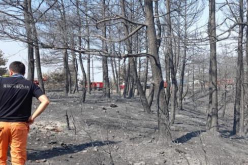 Beylikdüzü’nden Çanakkale’ye takviye