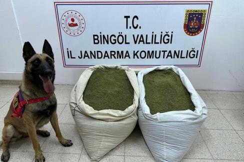 Bingöl’de jandarma ekiplerince yapılan