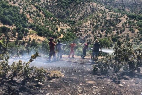 Bingöl'deki orman yangını kısa sürede söndürüldü