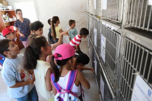 Bodrum’da öğrencilerden can dostlara ziyaret