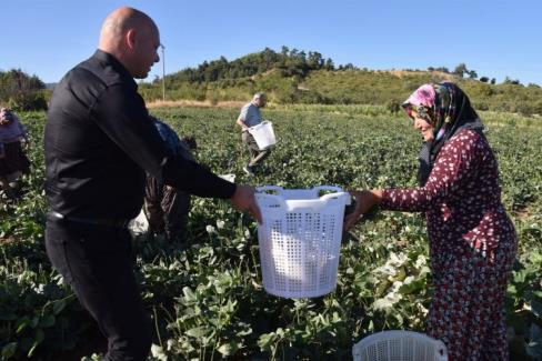 Börülce hasadında koruyucu ekipmanlar dağıtıldı