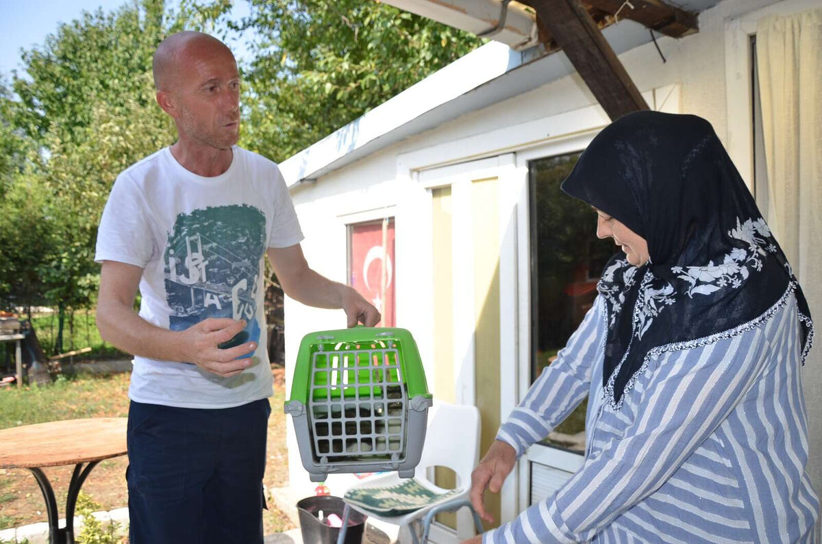 Bozuyukte kisirlastirma yapanlara belediyeden mama destegi - Marmara Bölge: Balıkesir Son Dakika Haberleri ile Hava Durumu