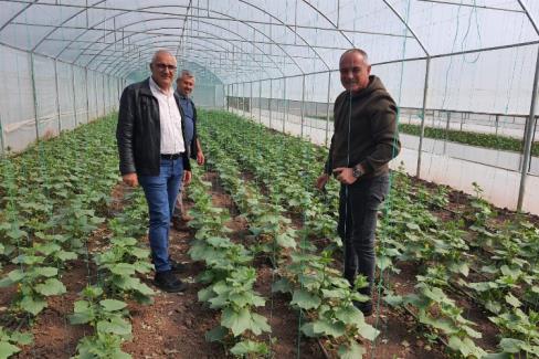 Bursa Gemlik’te organik tarım çalışmaları