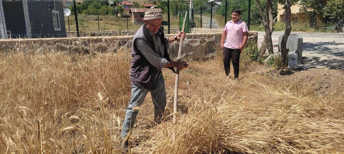 Bursa Keleste ata topraklarina sahip cikiyor - Marmara Bölge: Balıkesir Son Dakika Haberleri ile Hava Durumu