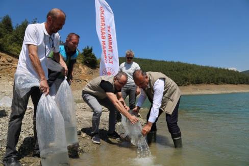 Akdeniz Su Ürünleri Araştırma,