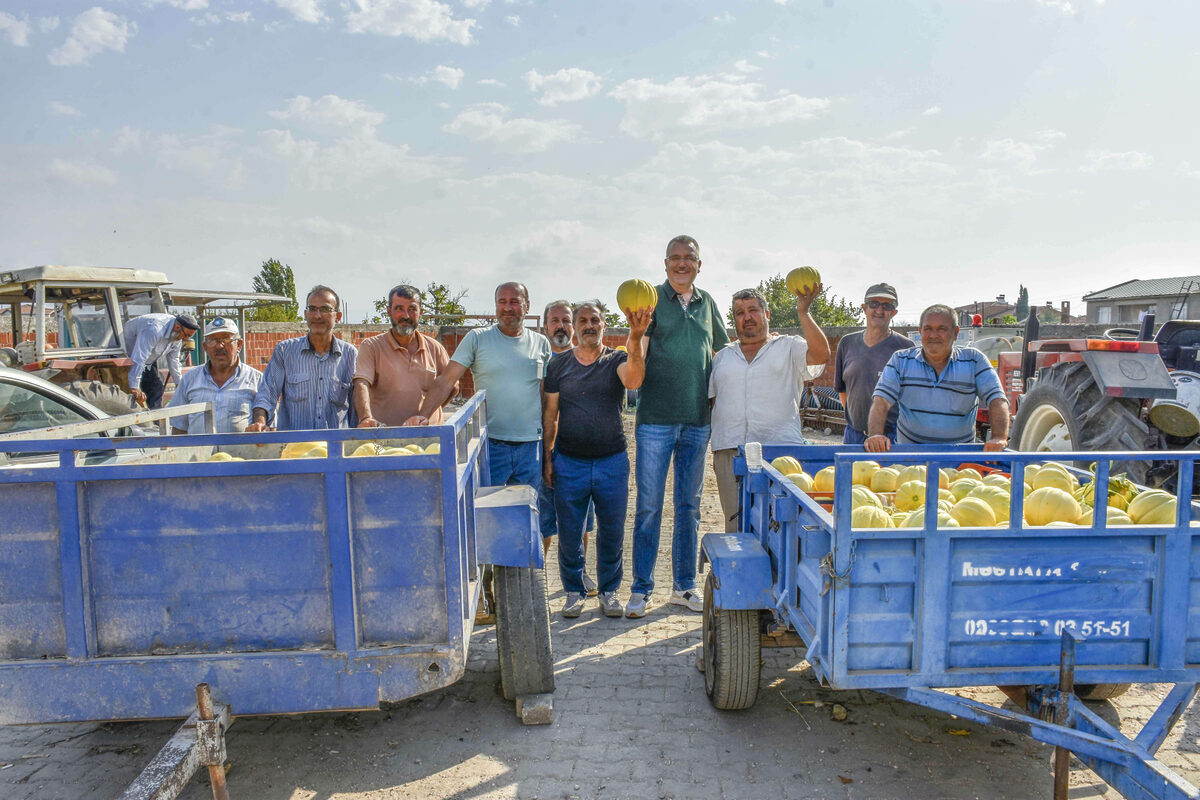 Bursada Ata tohumu ile yetistirilen kavunlarda hasat zamani - Marmara Bölge: Balıkesir Son Dakika Haberleri ile Hava Durumu