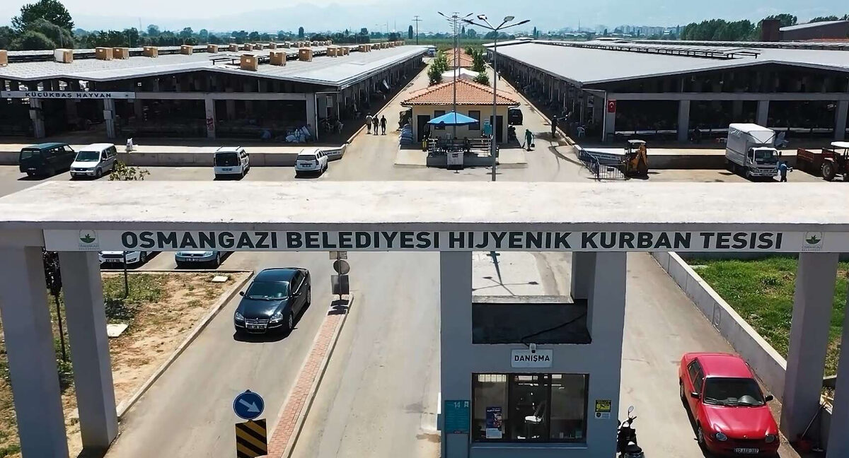 Bursada Osmangazi kurbana hazir - Marmara Bölge: Balıkesir Son Dakika Haberleri ile Hava Durumu