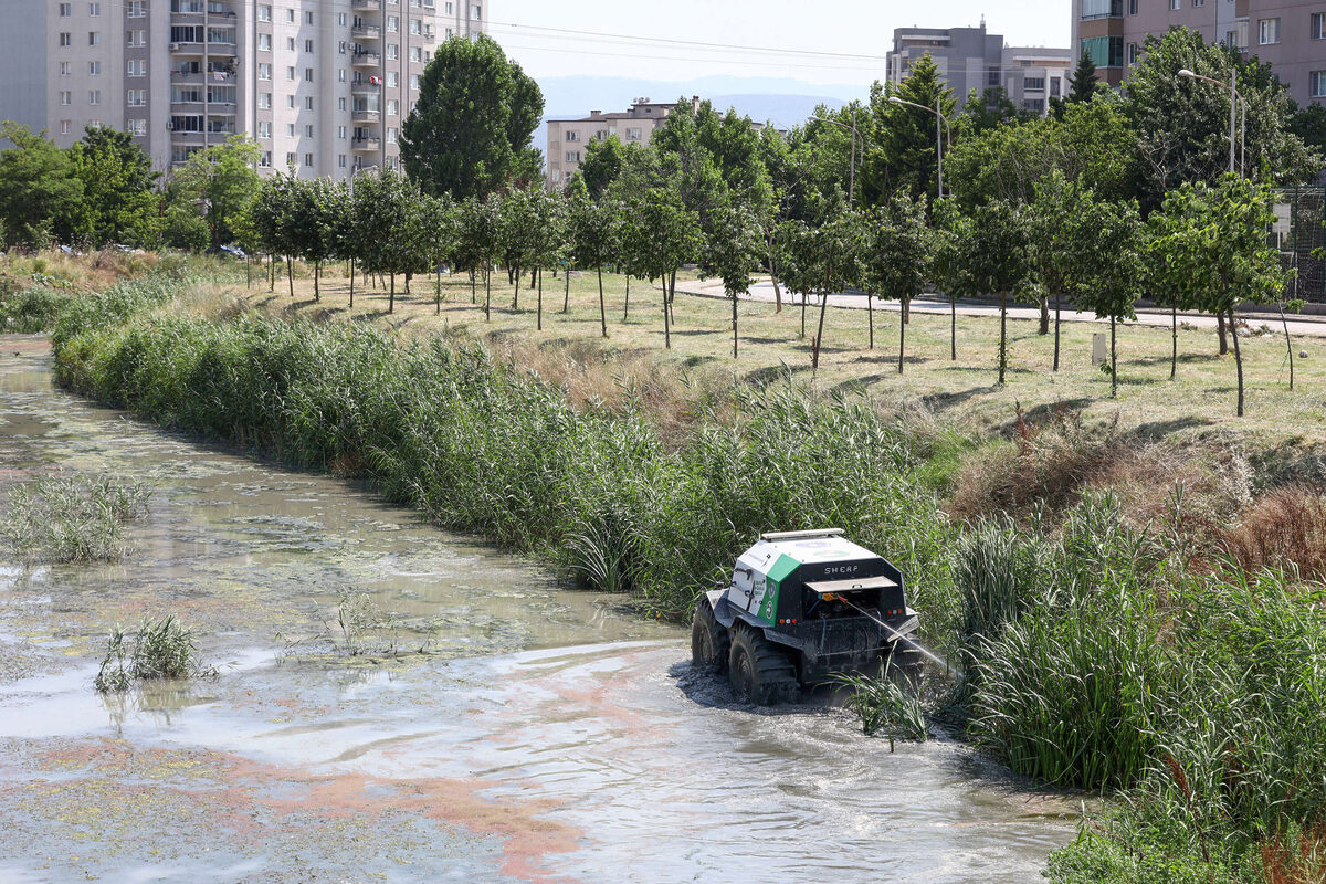 Bursada sinekle her yonden mucadele - Marmara Bölge: Balıkesir Son Dakika Haberleri ile Hava Durumu