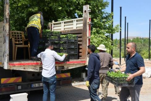 Şanlıurfa’nın tescilli yöresel lezzetlerinden