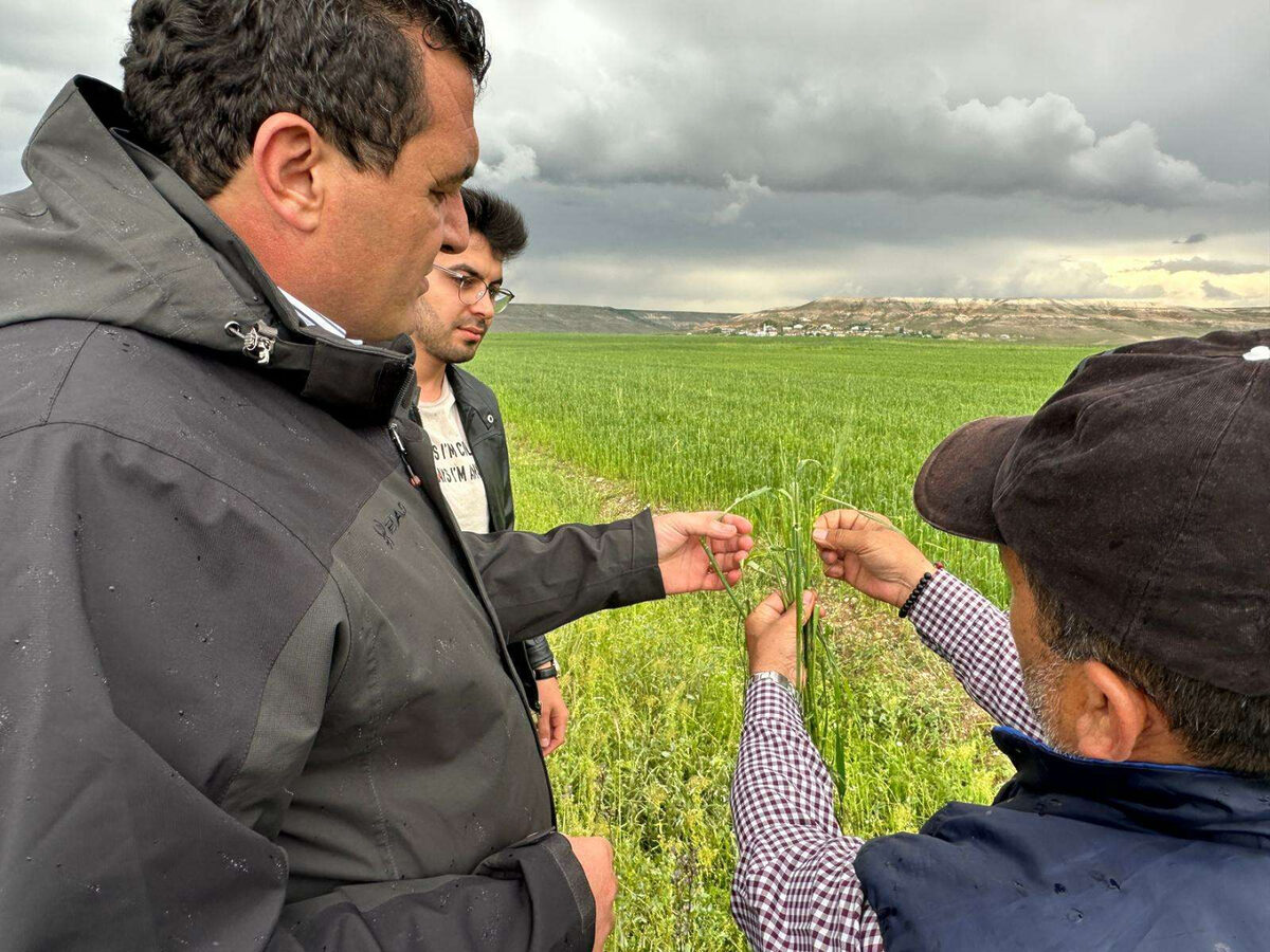 CHPli Karasu Sivas icin kanun teklifi verdi Sivas afet bolgesi - Marmara Bölge: Balıkesir Son Dakika Haberleri ile Hava Durumu