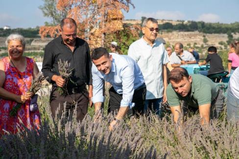 Çaltıbozkır’da Lavanta Hasat Şenliği coşkusu