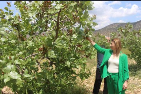 Antalya Büyükşehir Belediyesi iklim