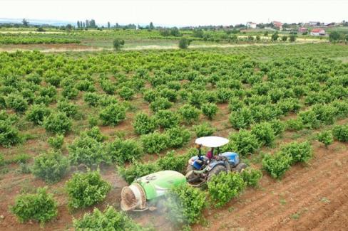 Denizli Büyükşehir Belediyesinin, çiftçilerin