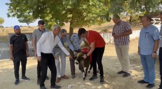 Edirne’de Cumhurbaşkanı Recep Tayyip