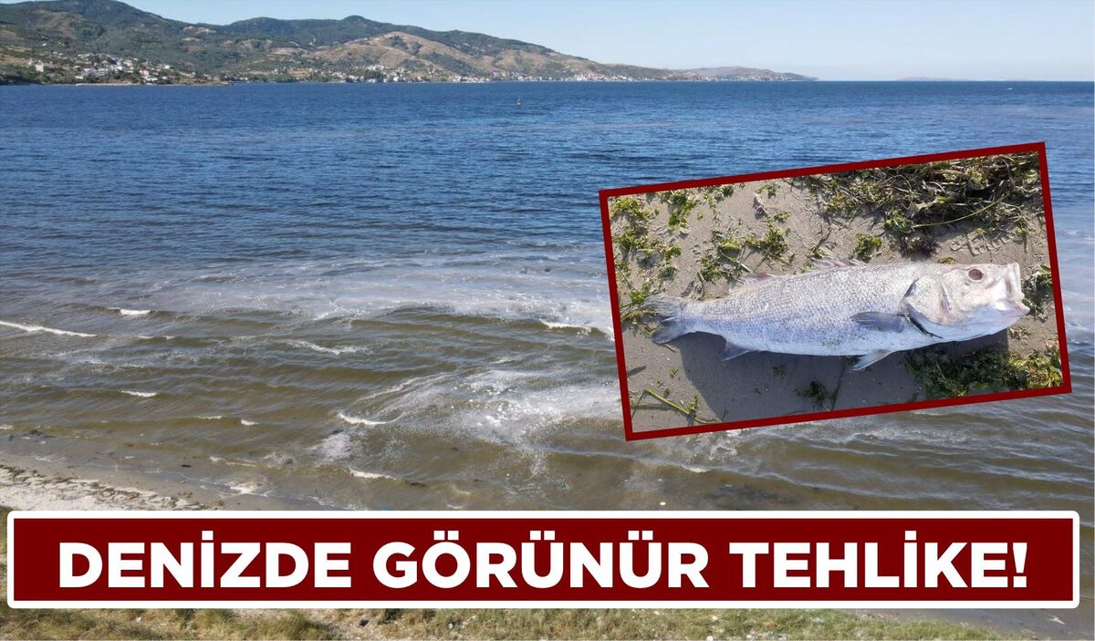 DENİZDE GÖRÜNÜR TEHLİKE!