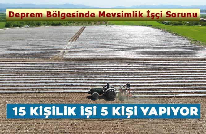 DEPREM BÖLGESİNDE MEVSİMLİK İŞÇİ SORUNU: 15 KİŞİLİK İŞİ 5 KİŞİ YAPIYOR