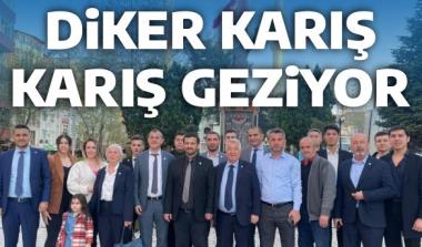 DİKER KARIŞ KARIŞ GEZİYOR