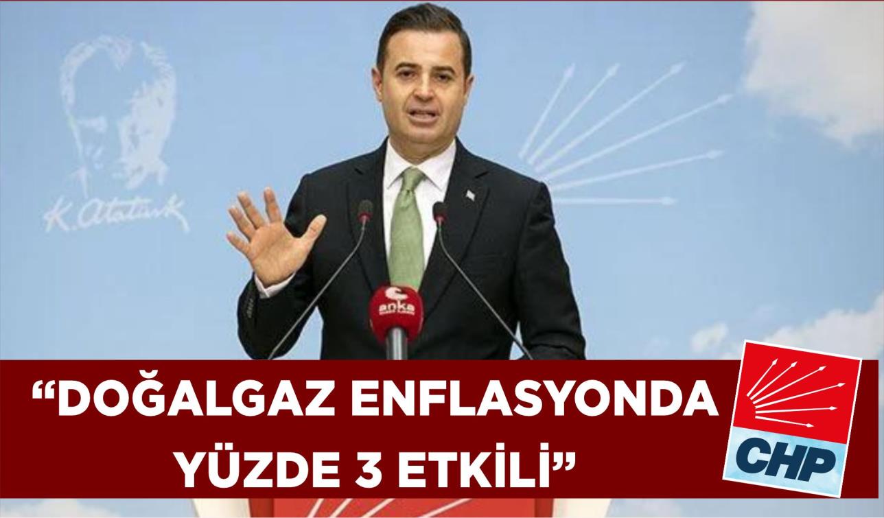 “DOĞALGAZ ENFLASYONDA YÜZDE 3 ETKİLİ”