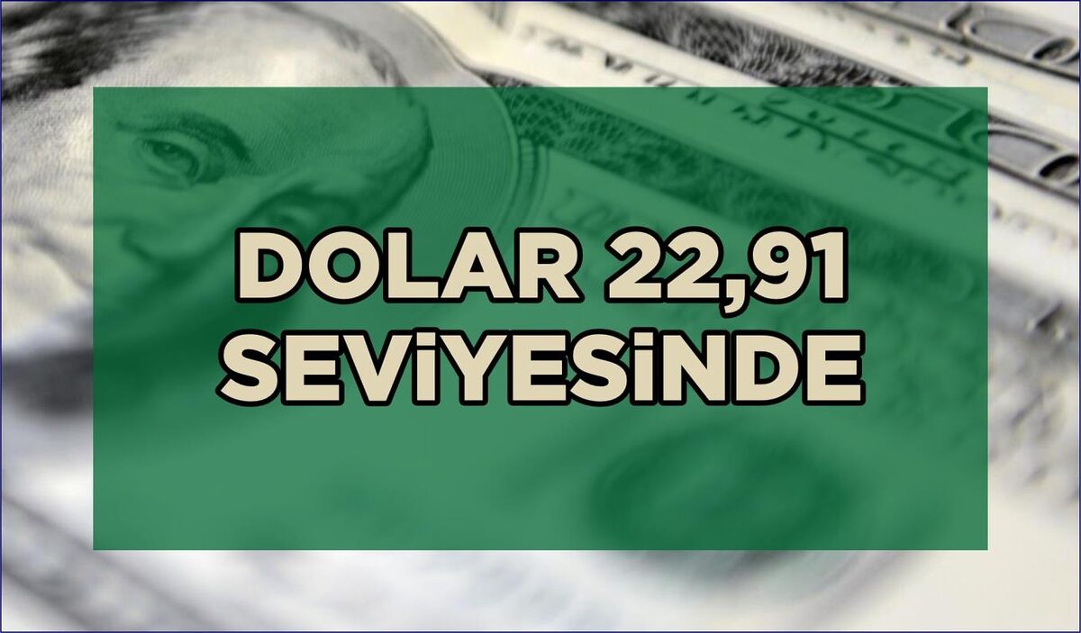 DOLAR 22,91 SEVİYESİNDE  