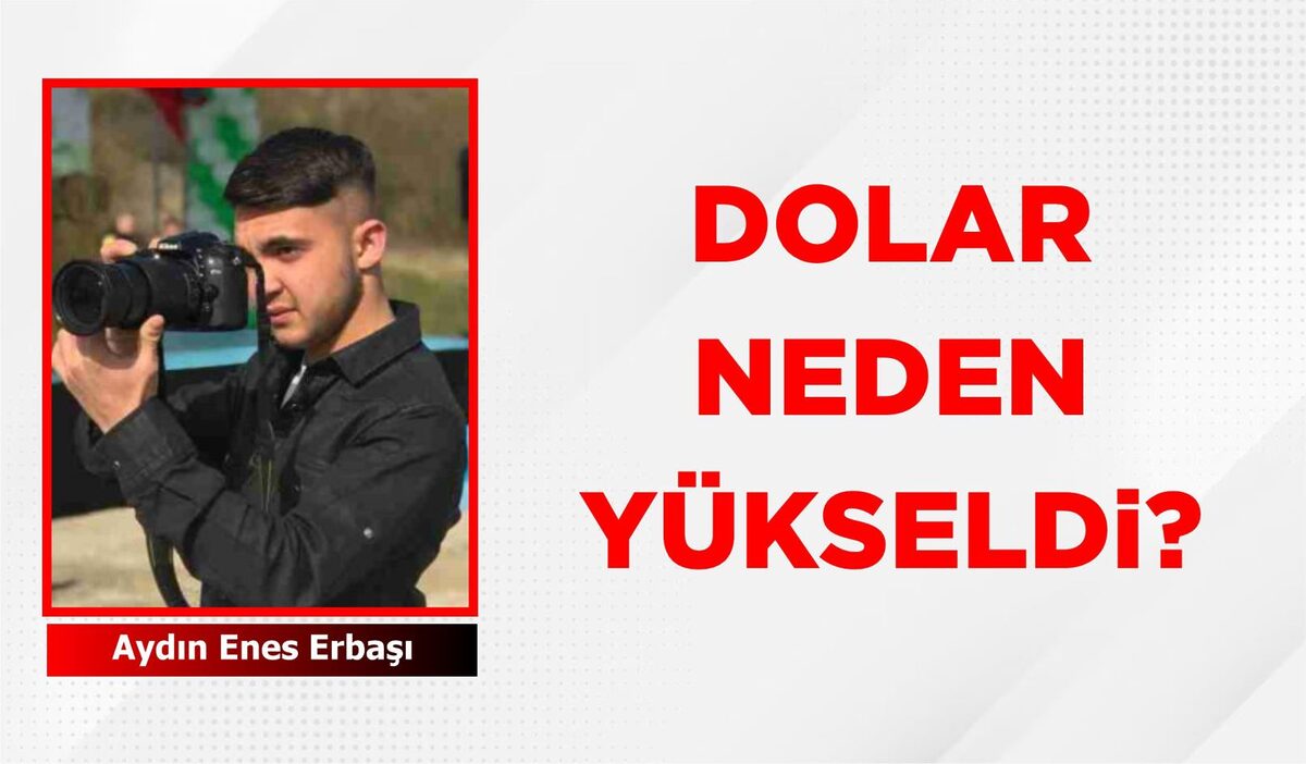 Son dönemde doların yükselmesi,