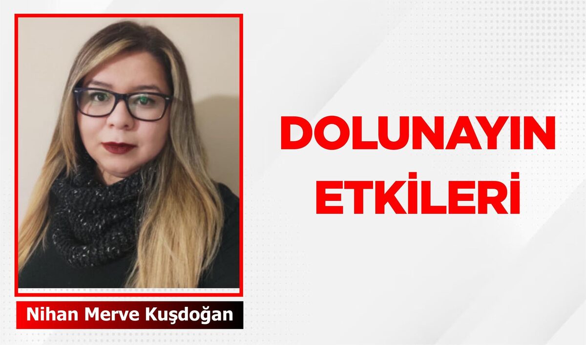 DOLUNAYIN ETKİLERİ