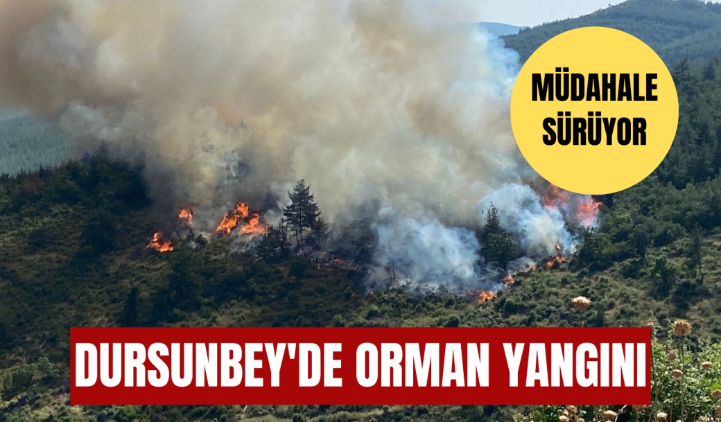 DURSUNBEY’DE ORMAN YANGINI! MÜDAHALE SÜRÜYOR