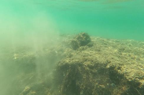 Bodrum’un Ortakent sahili önlerinde