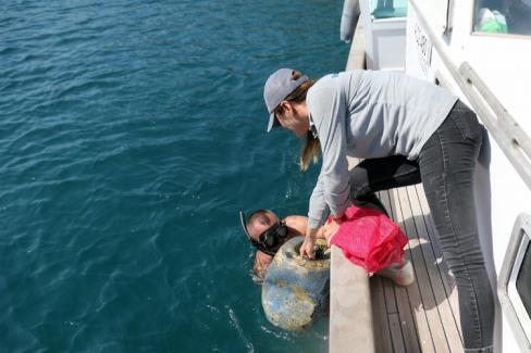 Bodrum’un Türkbükü Mahallesi’nde başlayan