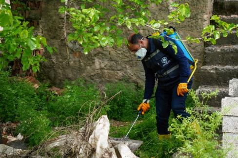 Diyarbakır’da ilaçlama çalışmaları aralıksız sürüyor