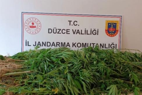 Düzce’nin Yığılca ilçesinde uyuşturucu