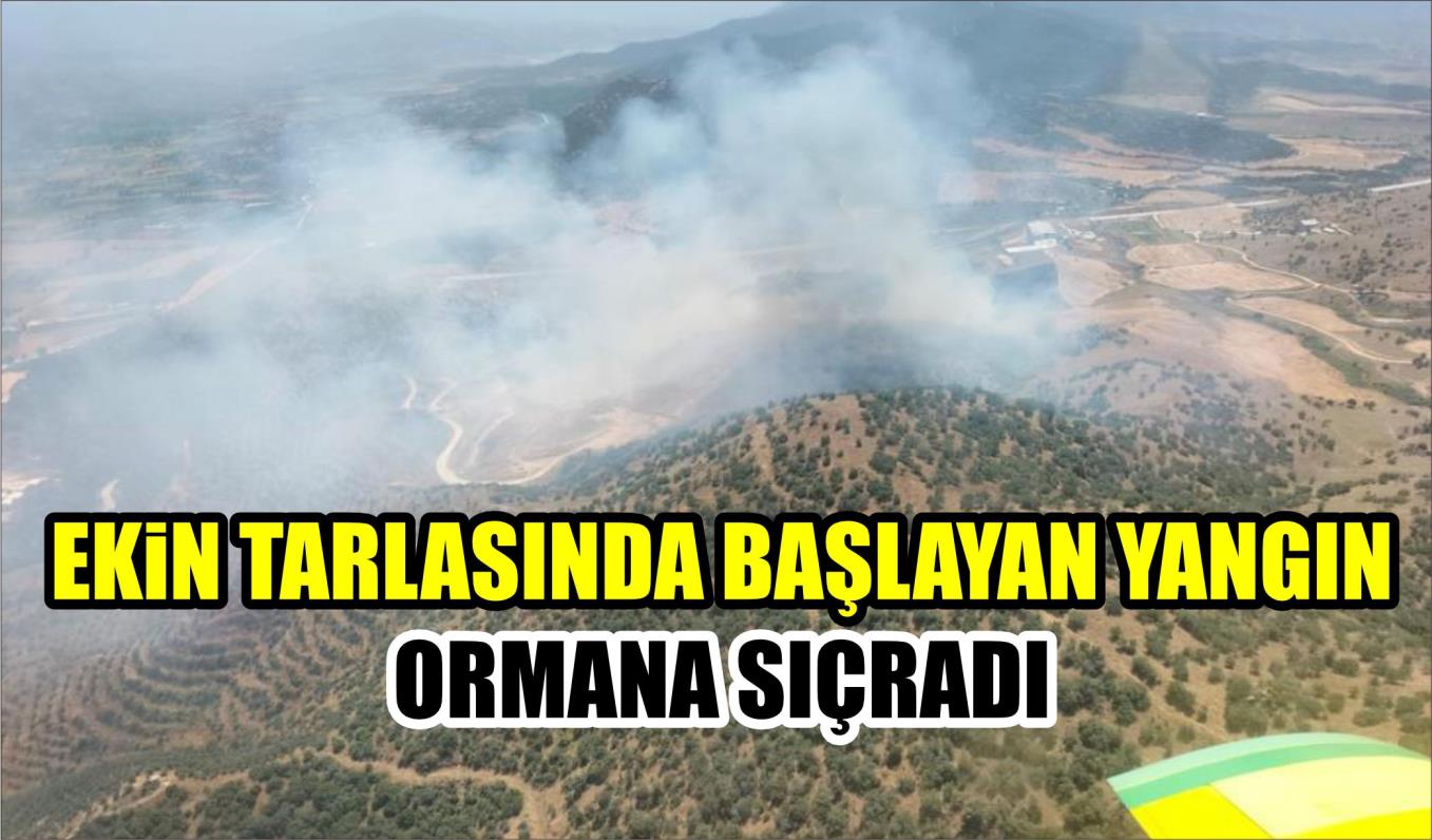 EKİN TARLASINDA BAŞLAYAN YANGIN ORMANA SIÇRADI  