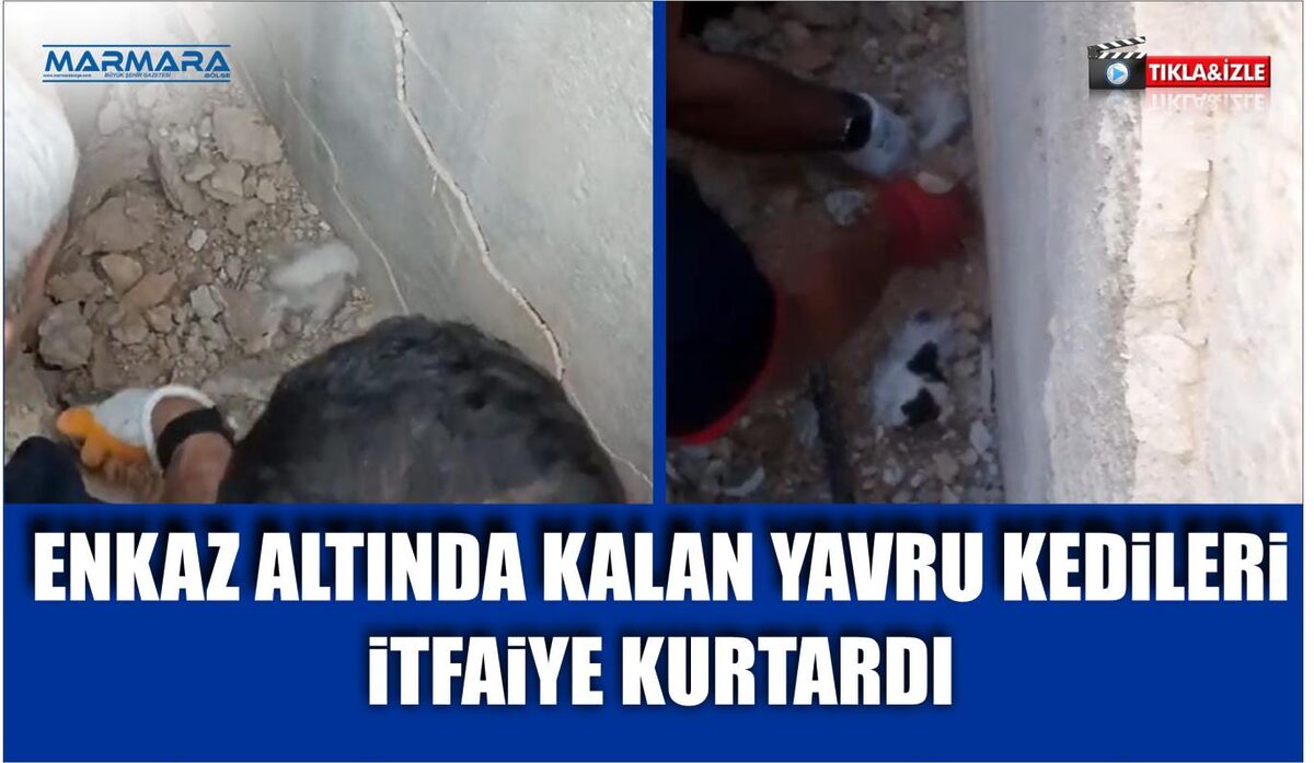 ENKAZ ALTINDA KALAN YAVRU KEDİLERİ İTFAİYE KURTARDI  