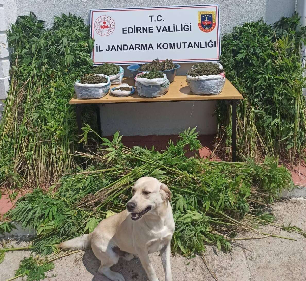 Edirne Jandarmasindan kacaklara gecit yok - Marmara Bölge: Balıkesir Son Dakika Haberleri ile Hava Durumu