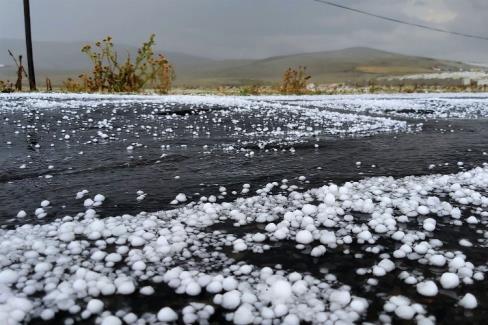 Edirne’de 16 bin dekarda dolu zararı