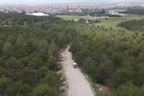 Bahabey Çamlığı eko-turizm alanına