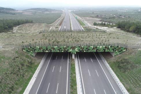 ‘Ekolojik Köprü’ler yaygınlaşıyor