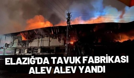 Elazığ'da tavuk fabrikası alev alev yandı!