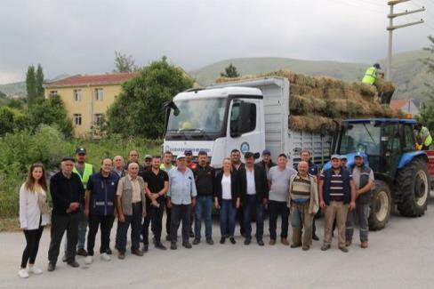 Eskişehir İnönü’de manda yetiştiricilerine balya desteği