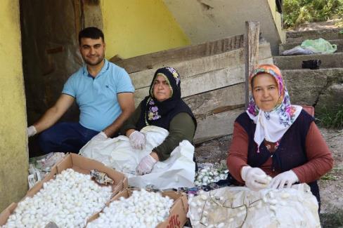 Ordu Büyükşehir Belediye Başkanı