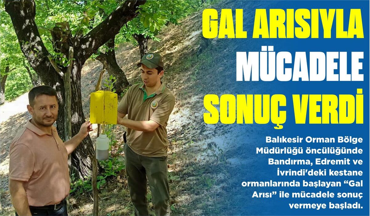 GAL ARISIYLA MÜCADELE SONUÇ VERDİ