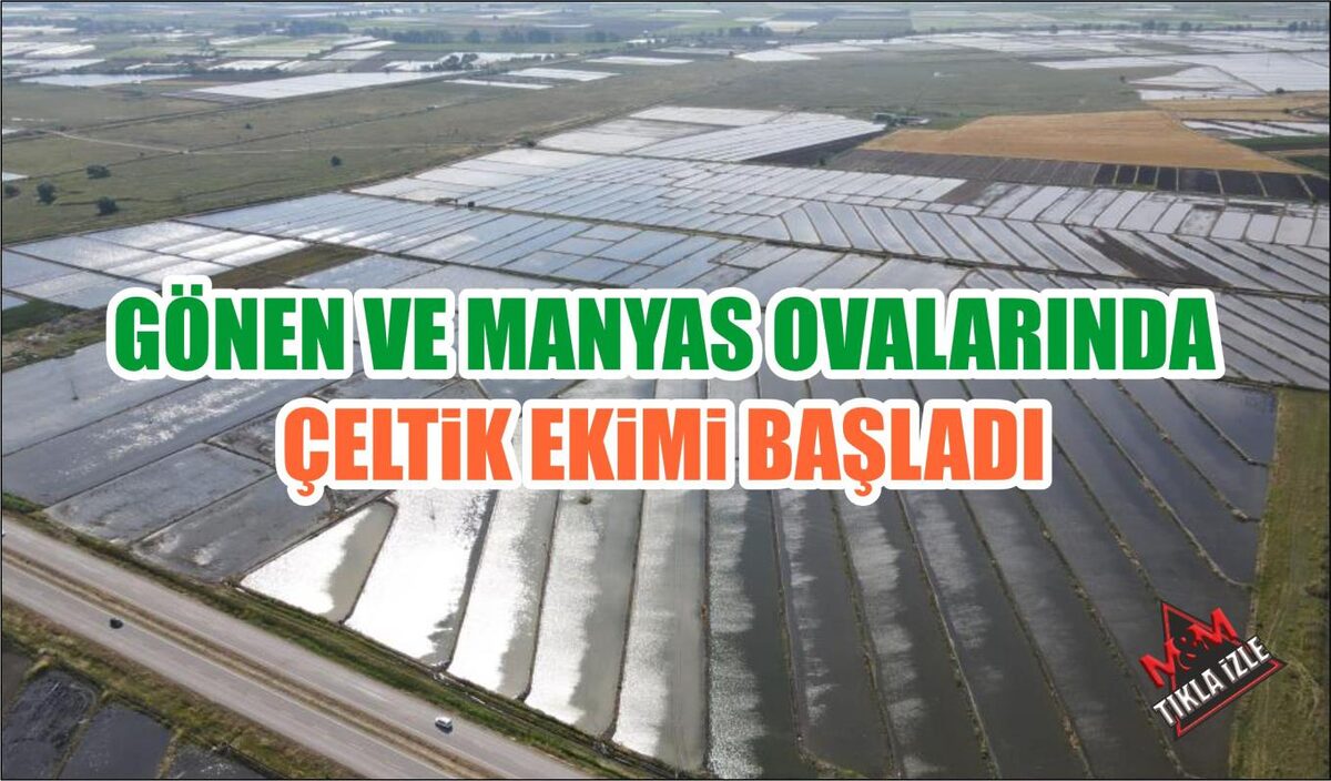 GÖNEN VE MANYAS OVALARINDA ÇELTİK EKİMİ BAŞLADI  