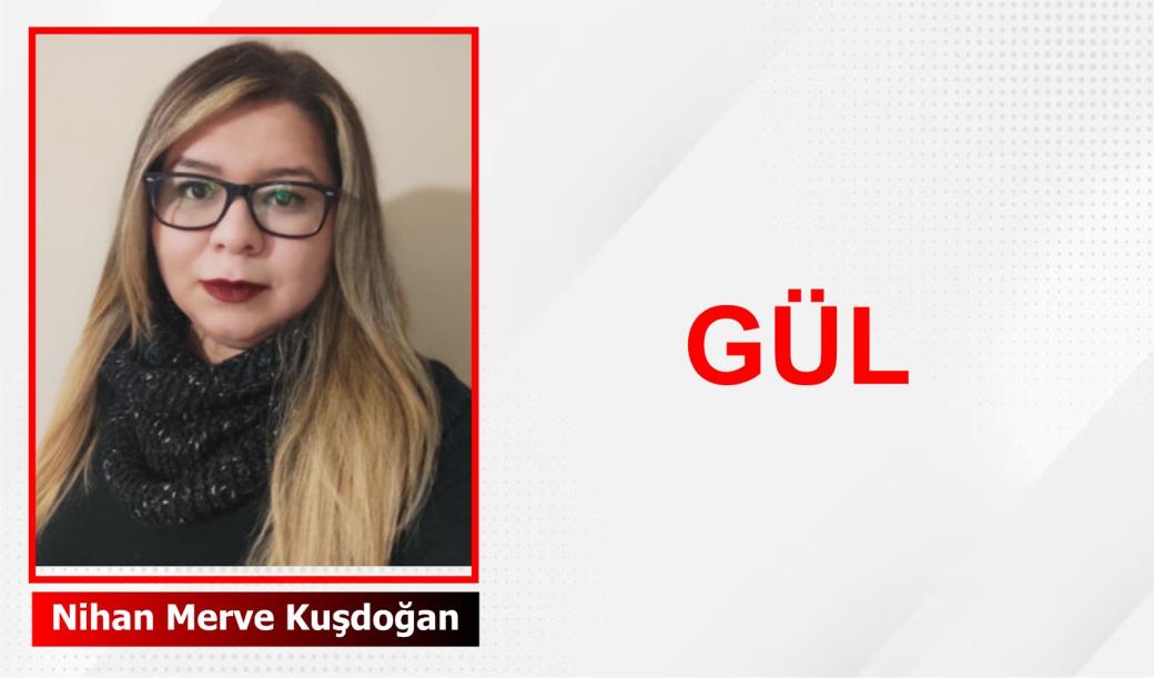 Gül çiçekleri, dünyanın en