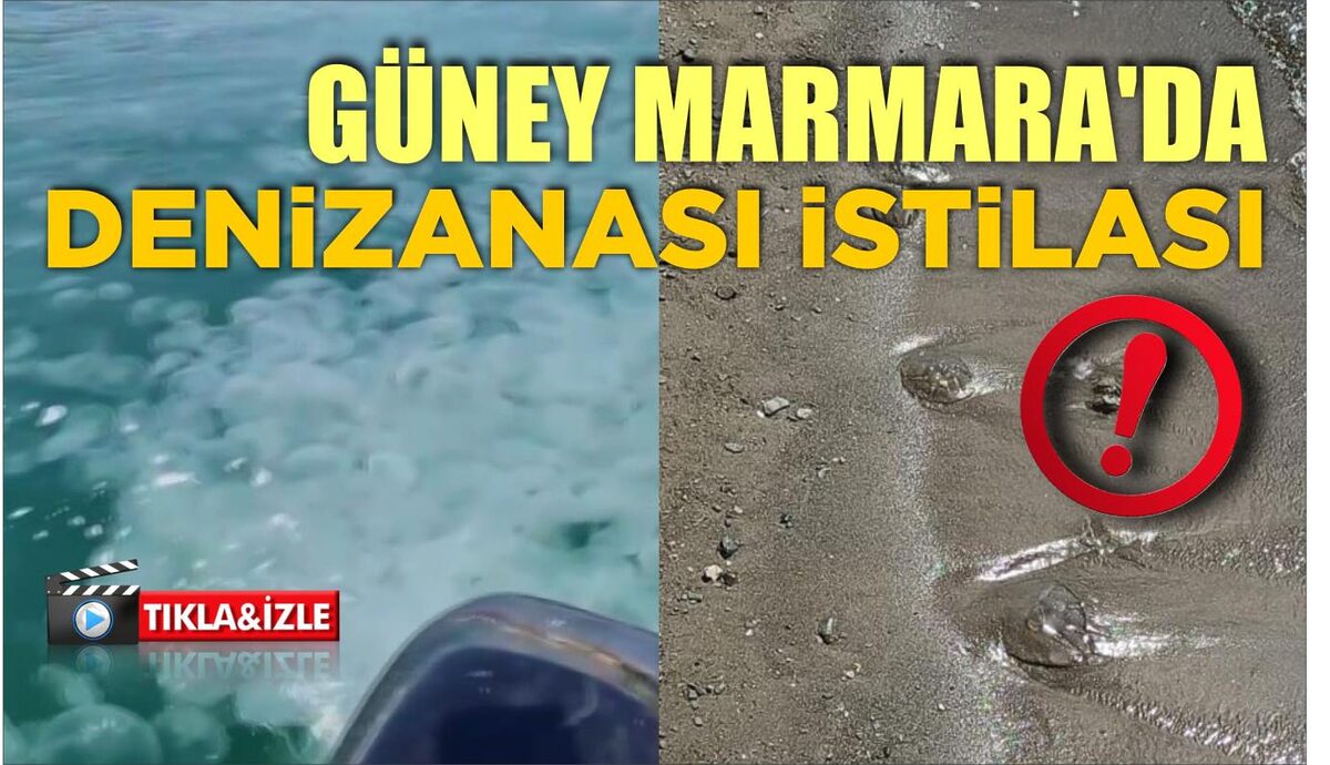 GÜNEY MARMARA'DA DENİZANASI İSTİLASI