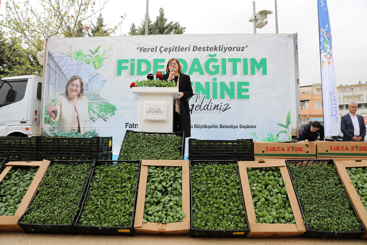 Gaziantepte ciftciye yerel urun fide destegi - Marmara Bölge: Balıkesir Son Dakika Haberleri ile Hava Durumu