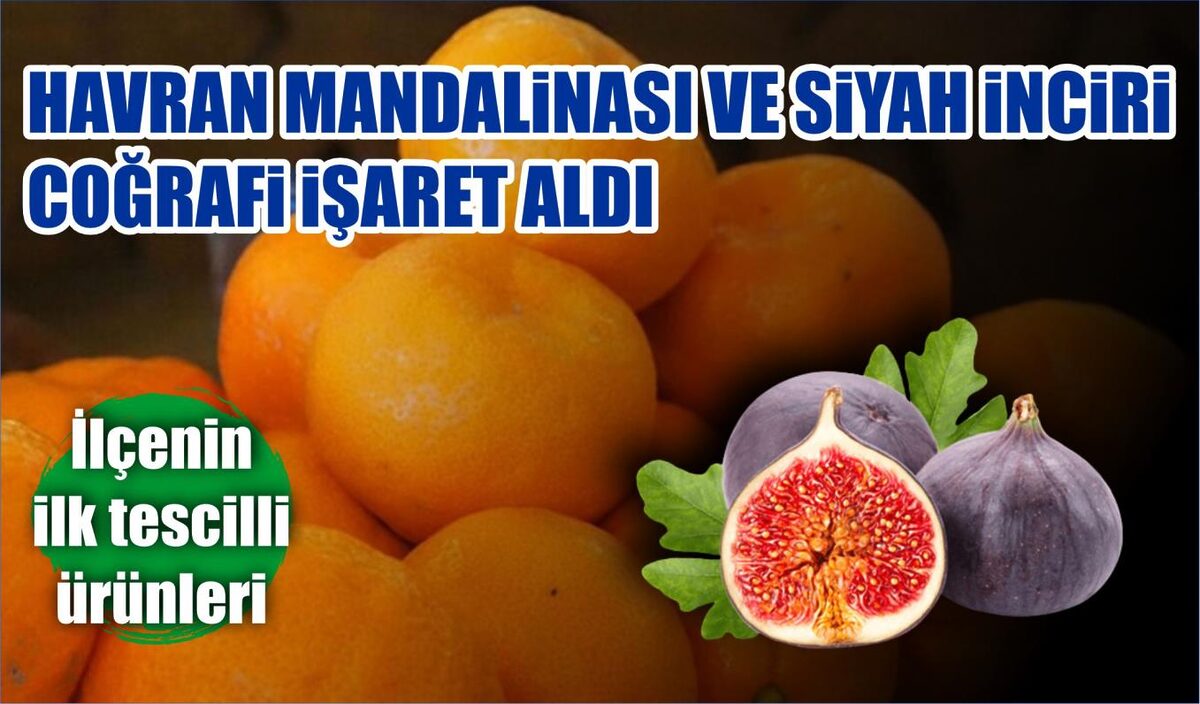 HAVRAN MANDALİNASI VE SİYAH İNCİRİ COĞRAFİ İŞARET ALDI